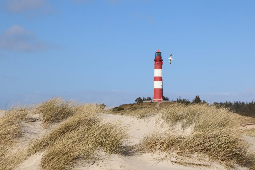 Neben dem feinen Sand des Amrumer Kniepsands, der hier die herrlichen Dünenlandschaften prägt, ist der Leuchtturm auf Amrum das große Wahrzeichen der Nordsee-Insel. Foto: Sandra 